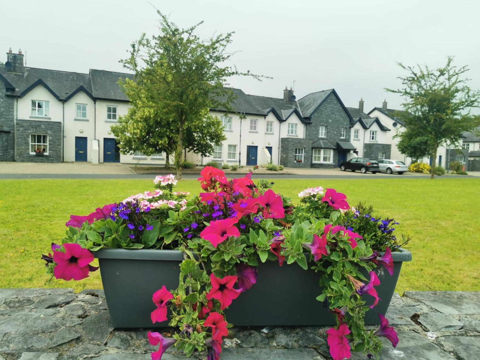 Bunratty Holiday Homes Eksteriør bilde